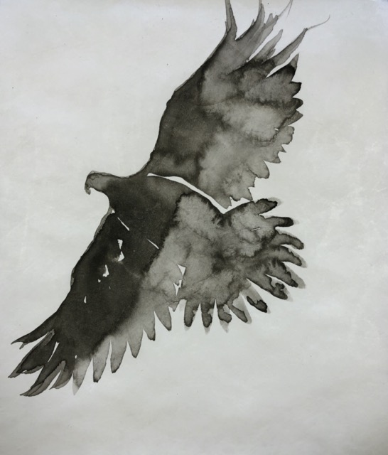 Red Tailed Hawk, RTH-21, 12x12