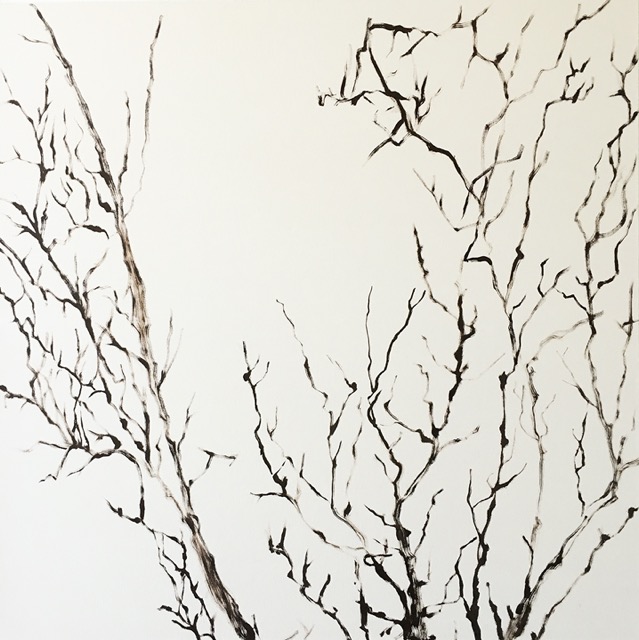 Shadow I, oil/canvas, 36 x 36 inches 